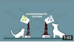 Unterstützung von Gelenken und Muskeln